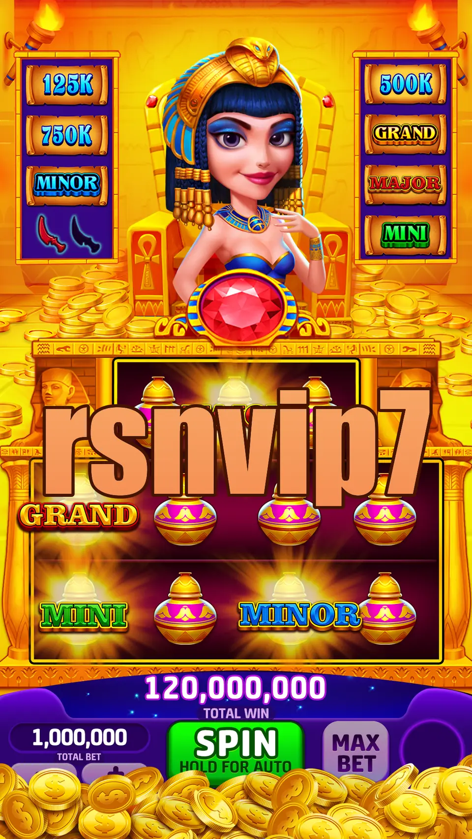 rsnvip7 APK